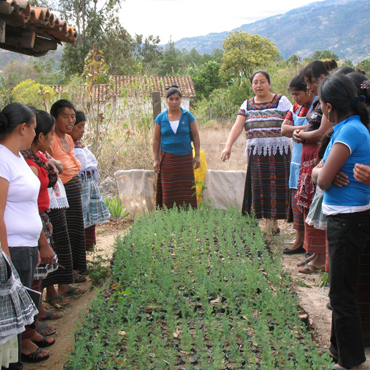 Guatemalan farmer training on sustainable agriculture