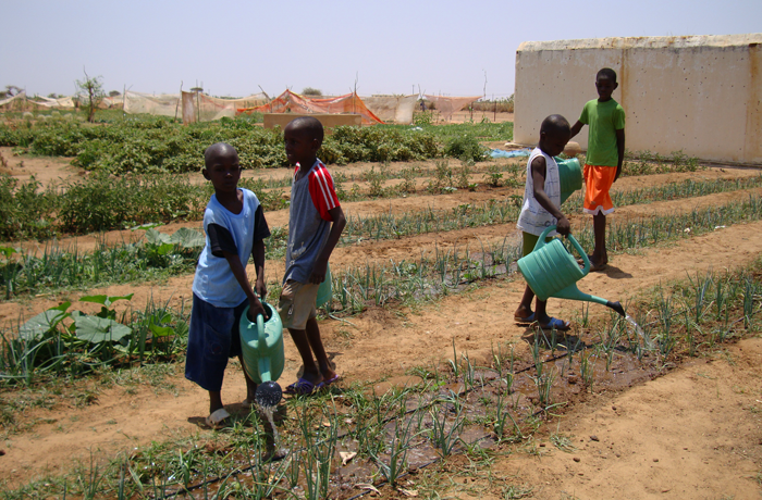 Children in Senegal watering plants