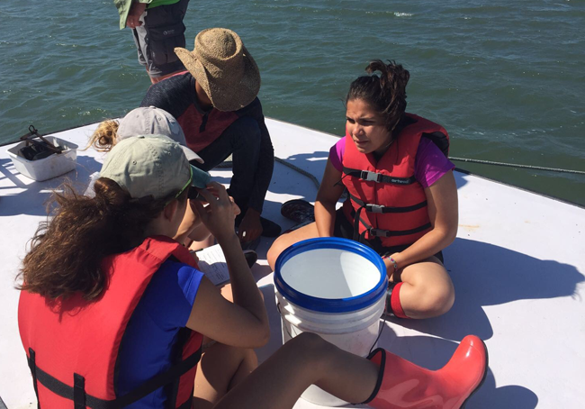 Taking scientific measurements in the Chesapeake Bay