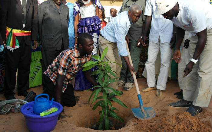 U.S. Ambassador Mushigi planting tree at a school in Senegal
